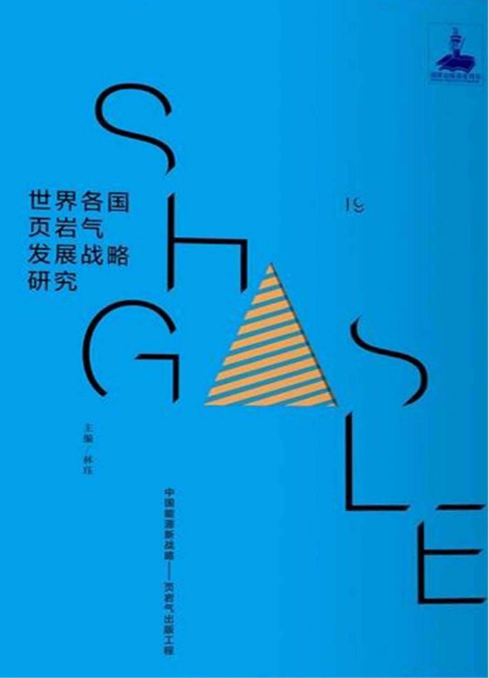 世界各国页岩气发展战略研究 封面