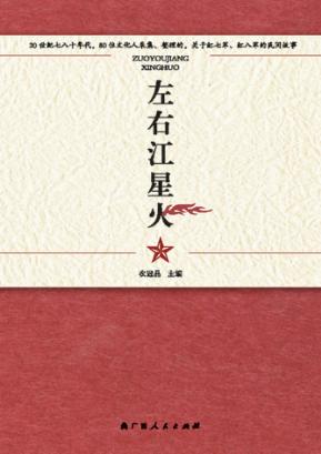 左右江星火 封面