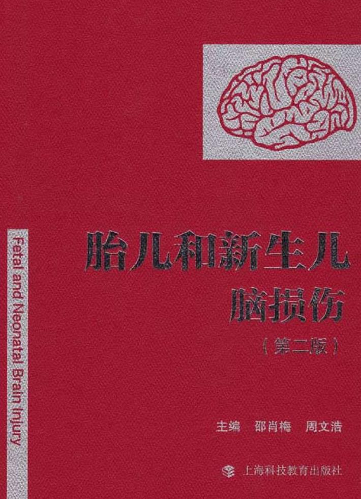 胎儿和新生儿脑损伤  第2版 封面