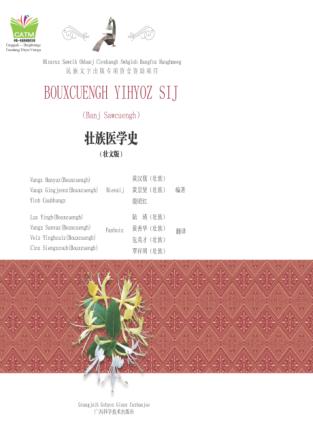 壮族医学史 封面