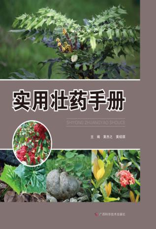 实用壮药手册 封面
