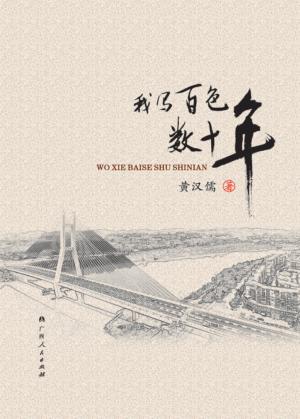 我写百色数十年 封面