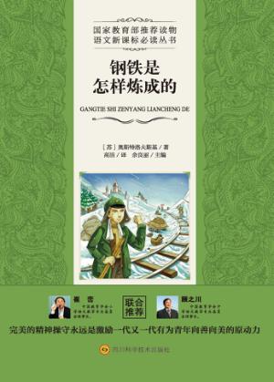 钢铁是怎样炼成的 封面