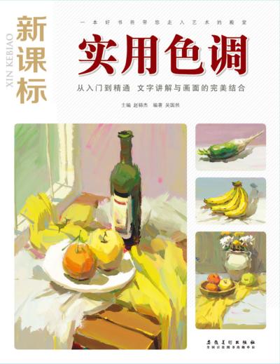 实用色调  新课标版 封面