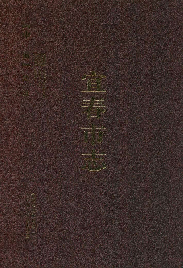 宜春市志  中 封面