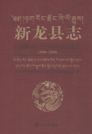 新龙县志  1988-2006 封面
