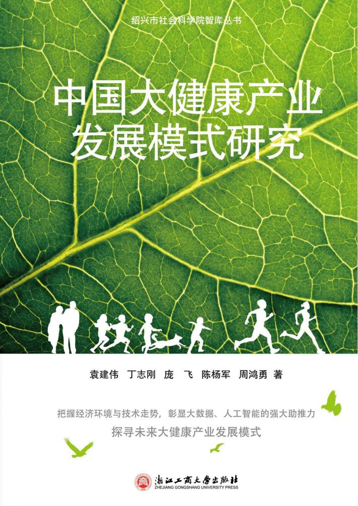 中国大健康产业发展模式研究 封面