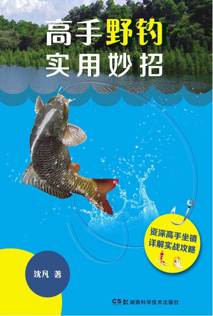 高手野钓实用妙招 封面