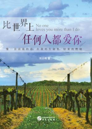 比世界上任何人都爱你
