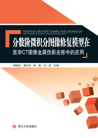 分数阶微积分图像修复模型在医学CT图像金属伪影去除中的应用