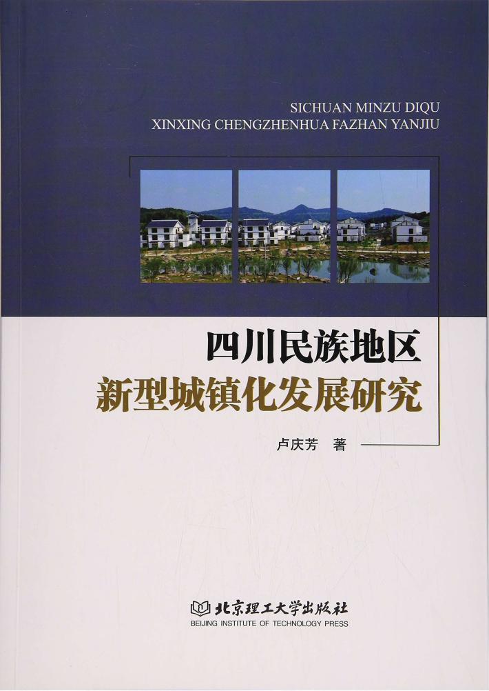 四川民族地区新型城镇化发展研究 封面