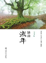 绿韵流年 封面