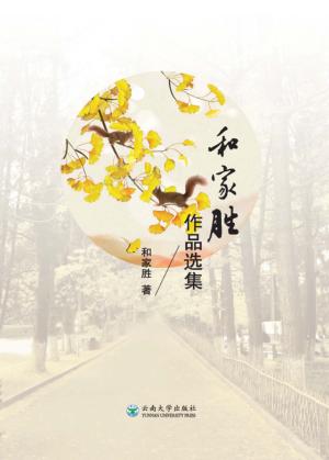 和家胜作品选集 封面
