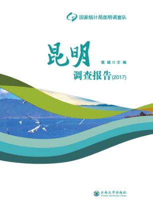 昆明调查报告 2017 封面