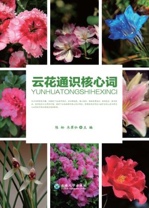 云华通识核心词 封面