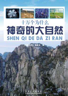 神奇的大自然 封面