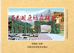 茅荆坝原始森林谷 封面