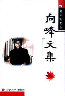 向峰文集 第10卷 封面