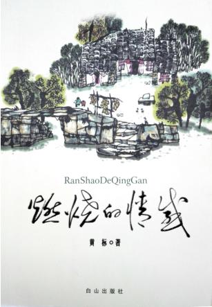 燃烧的情感 封面