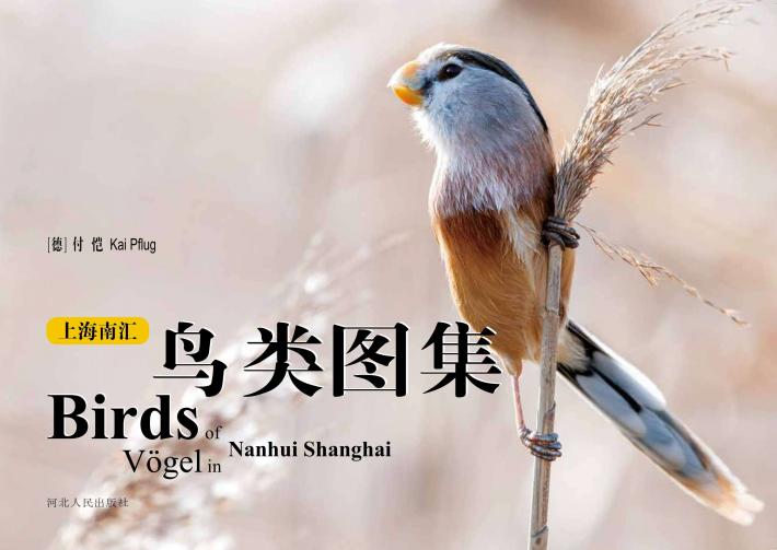 上海南汇鸟类图集 封面
