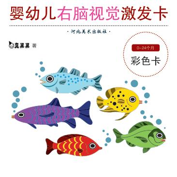 婴幼儿右脑视觉激发卡u3000彩色卡 封面