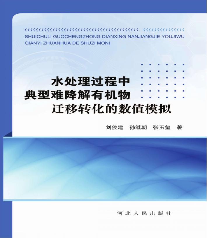水处理过程中典型难降解有机物迁移转化的数值模拟 封面
