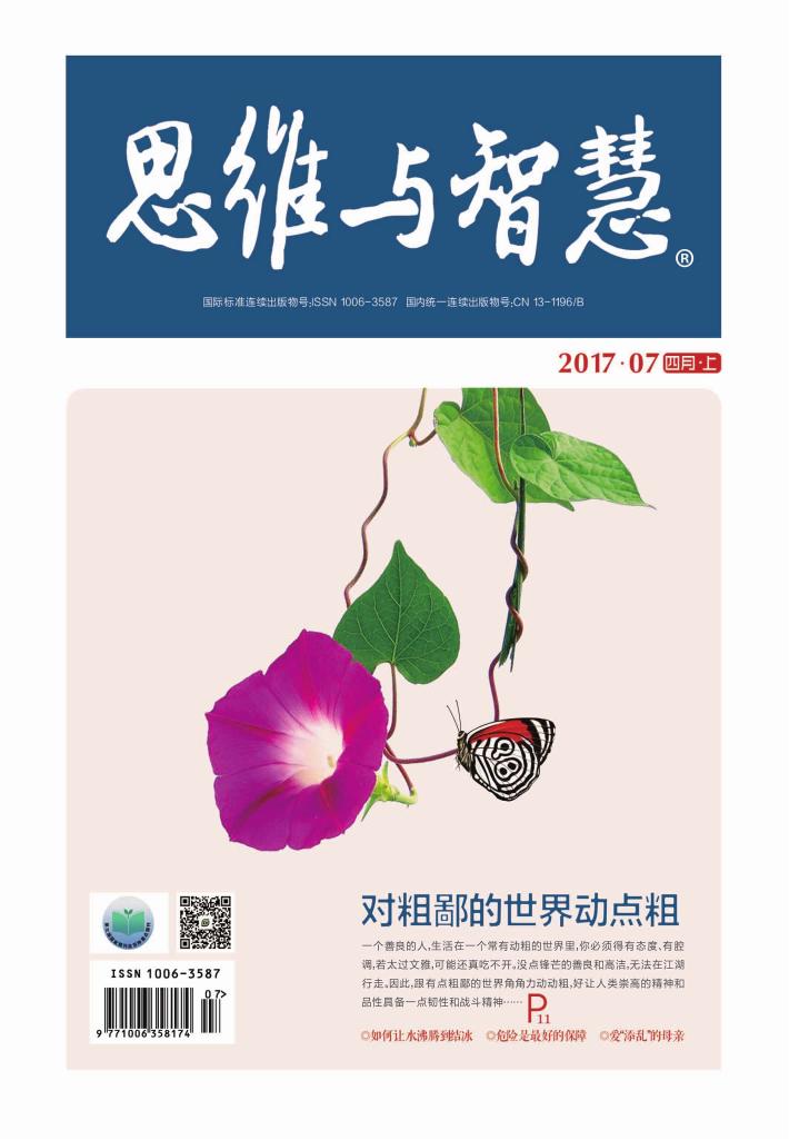 思维与智慧(2017.07u3000总第377期) 封面