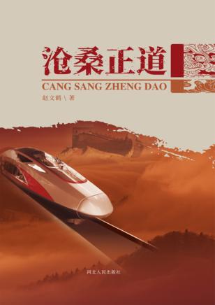 沧桑正道 封面