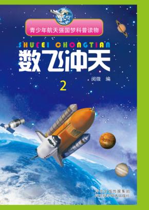 数飞冲天  2 封面