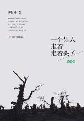 一个男人走着走着哭了  散文卷 封面