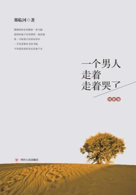 一个男人走着走着哭了  诗歌卷 封面