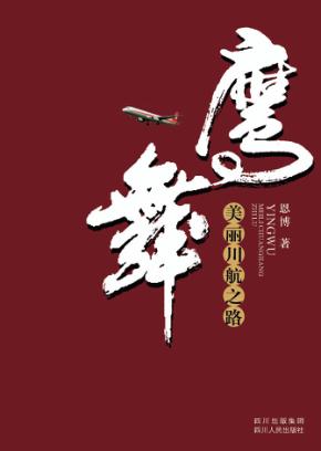 鹰舞  美丽川航之路 封面