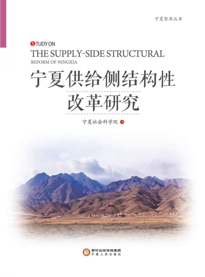 宁夏供给侧结构性改革研究 封面