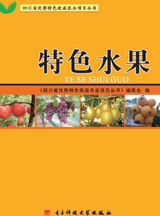 特色水果 封面