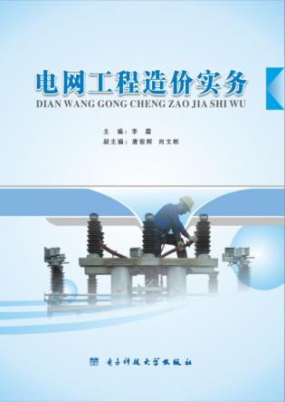 电网工程造价实务 封面