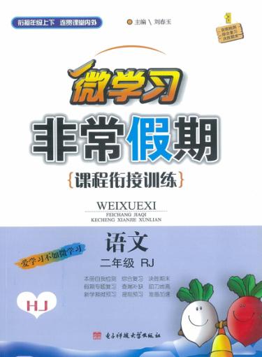 非常假期  二年级  语文 封面