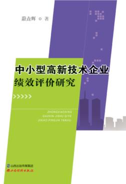 中小型高新技术企业绩效评价研究 封面