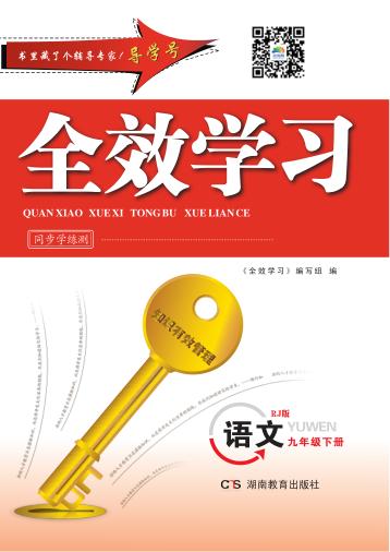 全效学习·同步学练测  语文  九年级  下  RJ版 封面