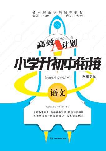 高效A计划·小学升初中衔接  语文  永州专版 封面
