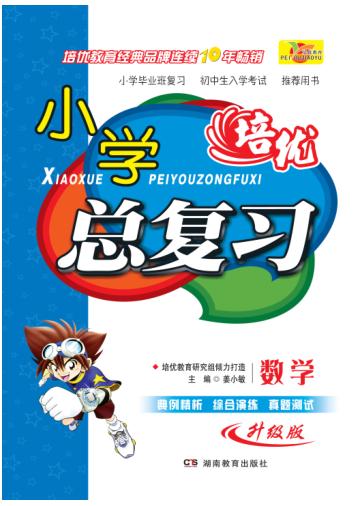 小学培优总复习  数学  人教版 封面