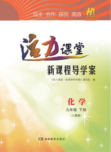 活力课堂·新课程导学案  化学  九年级  下  人教版