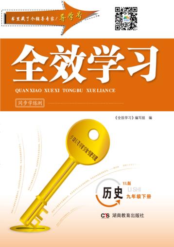全效学习·同步学练测  历史  九年级  下  YL版 封面