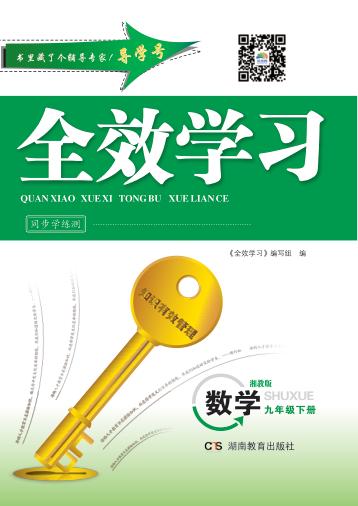 全效学习·同步学练测  数学  九年级  下  湘教版 封面