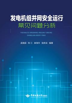 发电机组并网安全运行常见问题分析 封面