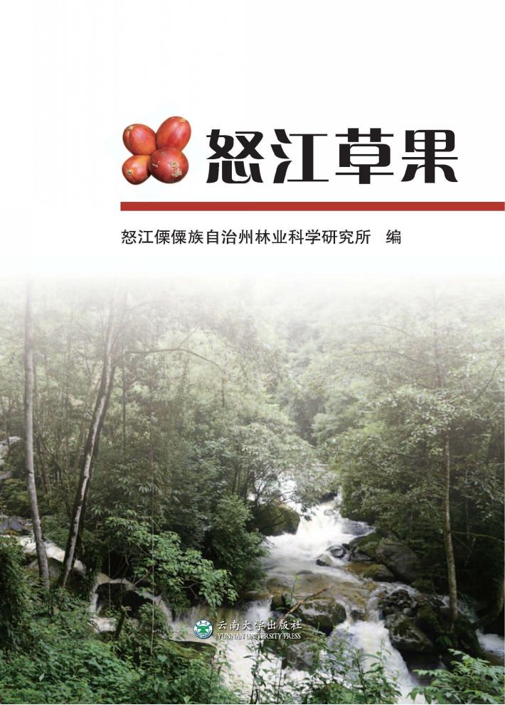 怒江草果 封面