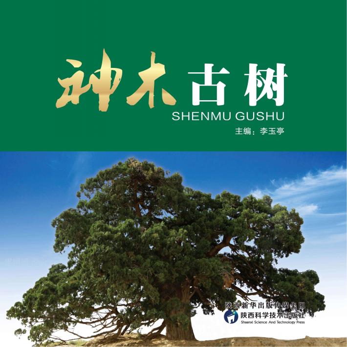 神木古树