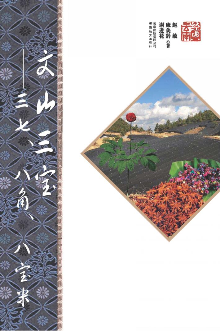 文山三宝 三七、八角、八宝米 封面