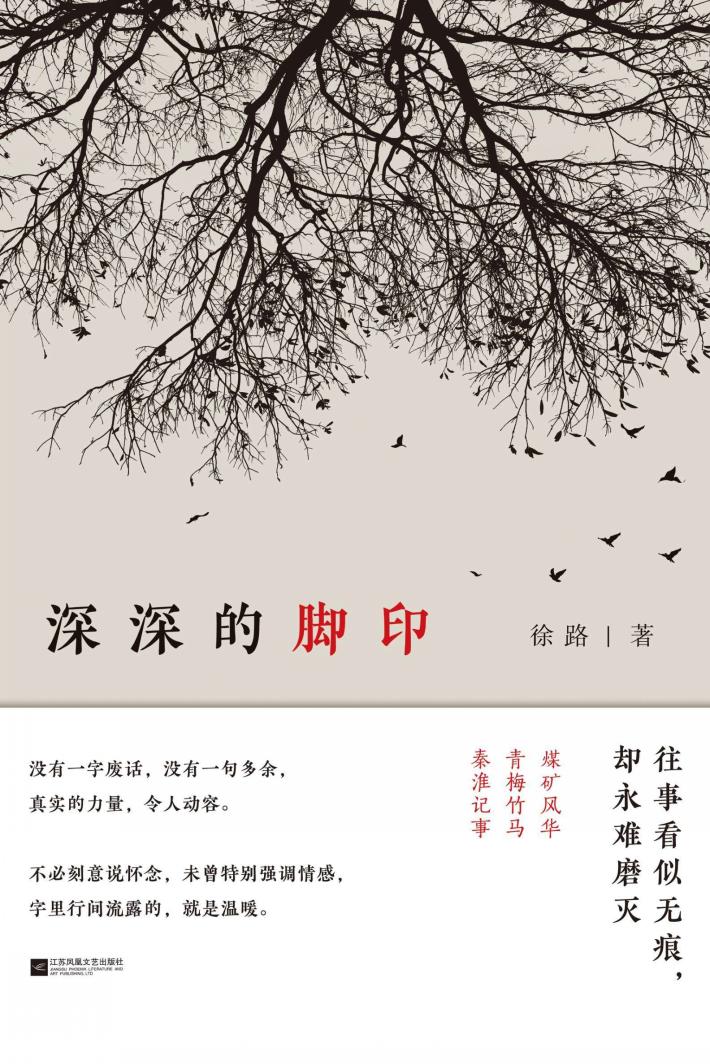 深深的脚印 封面