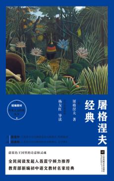 屠格涅夫经典 封面