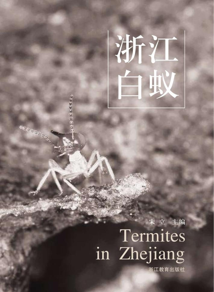 浙江白蚁 封面